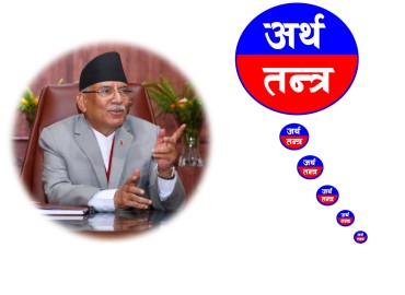 category photo