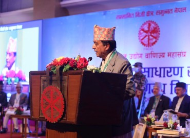 category photo