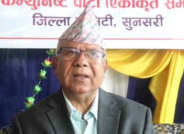 category photo