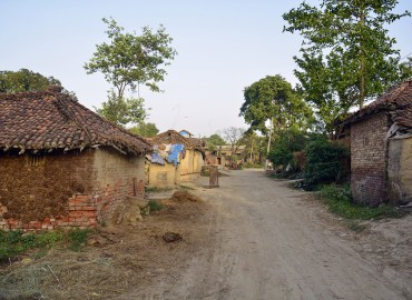 category photo