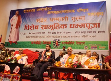 category photo