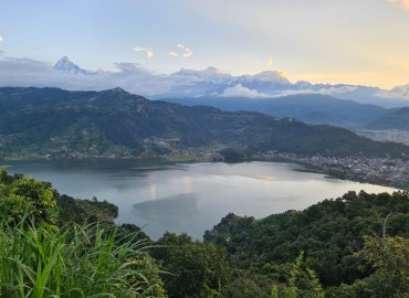 category photo