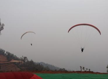 category photo