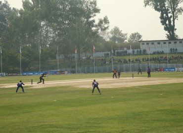 category photo