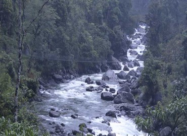 category photo