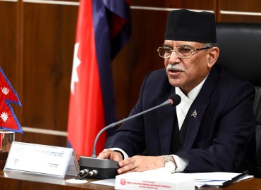 category photo