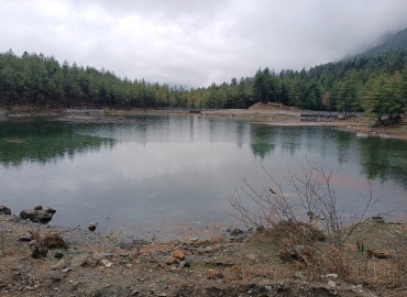 category photo