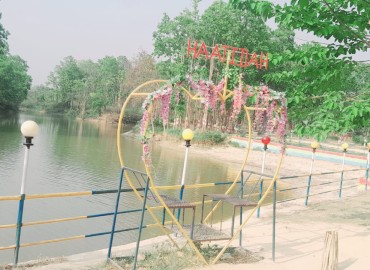 category photo