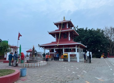 category photo