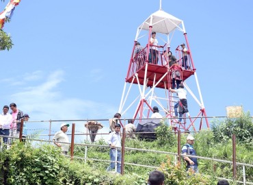 category photo