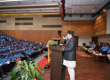 category photo