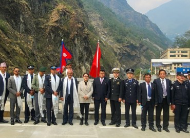 category photo