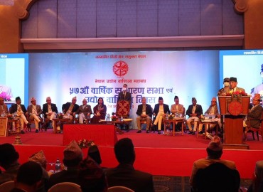 category photo