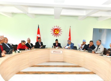 category photo
