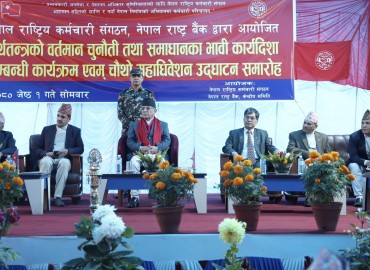 category photo