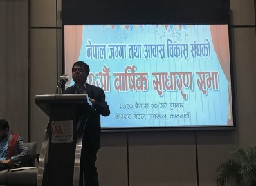 category photo