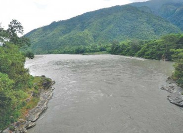 category photo