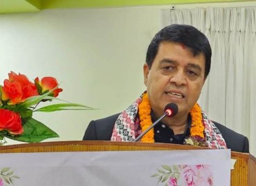 category photo