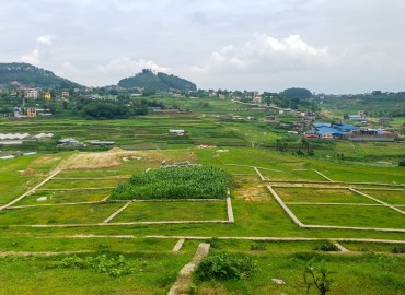 category photo
