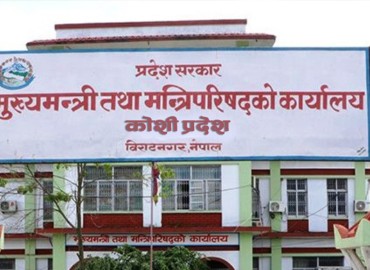 category photo
