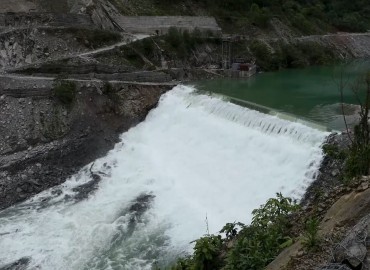 category photo