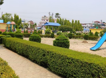 category photo
