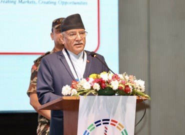 category photo