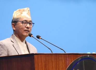 category photo