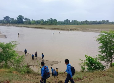 category photo