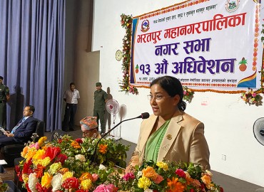 category photo