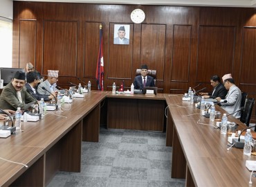 category photo
