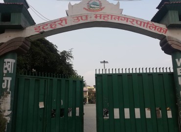 category photo