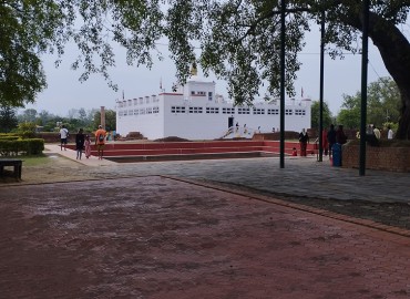 category photo