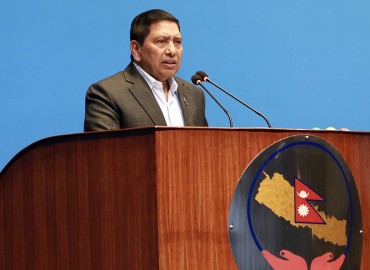 category photo