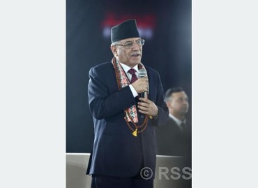 category photo