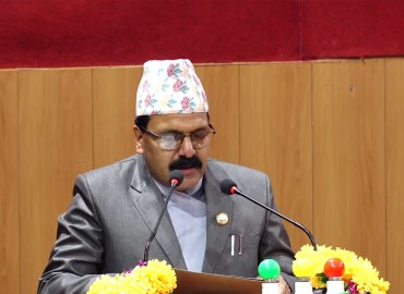 category photo