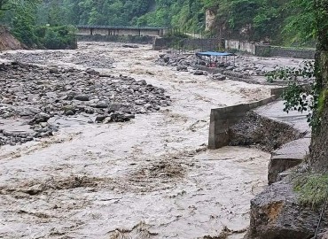 category photo