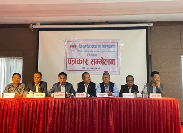 category photo