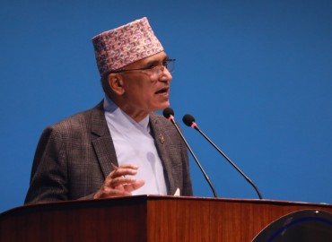 category photo