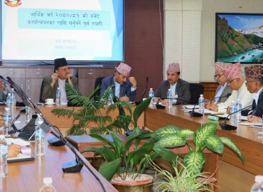 category photo