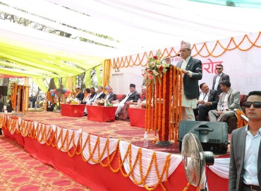 category photo
