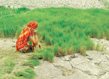 category photo