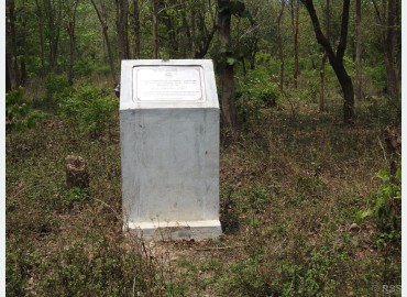 category photo