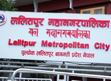 category photo