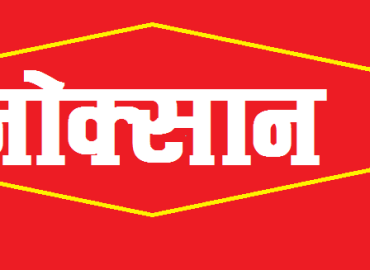 category photo