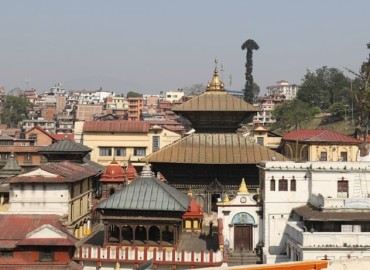 category photo