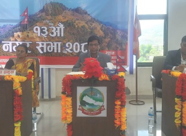 category photo