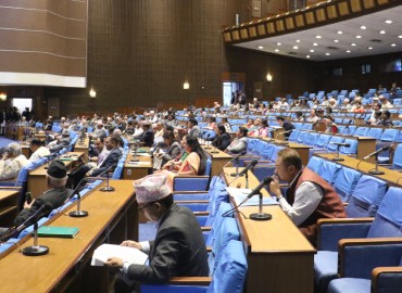 category photo