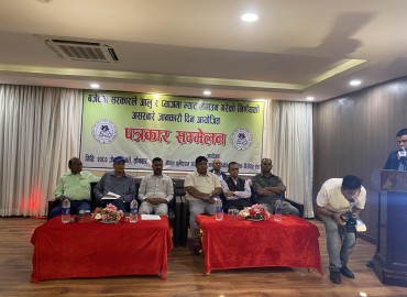 category photo