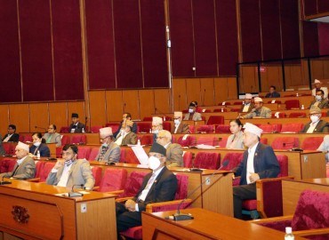 category photo